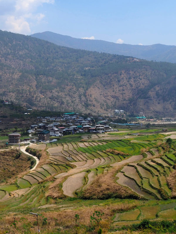 Punakha